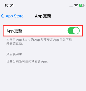 河源苹果15维修中心如何让iPhone15APP自动更新