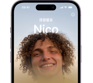 河源苹果15服务站分享iPhone15实时语音留言开启方法