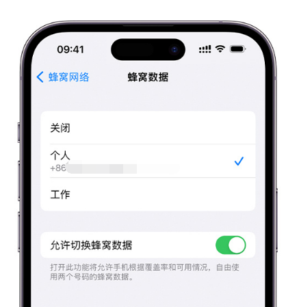 河源苹果维修服务分享如何在iPhone上使用双卡 